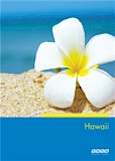 GOGO Worldwide Vacations Hawaii