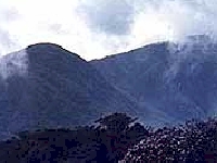 Jamaica's Blue Mountains